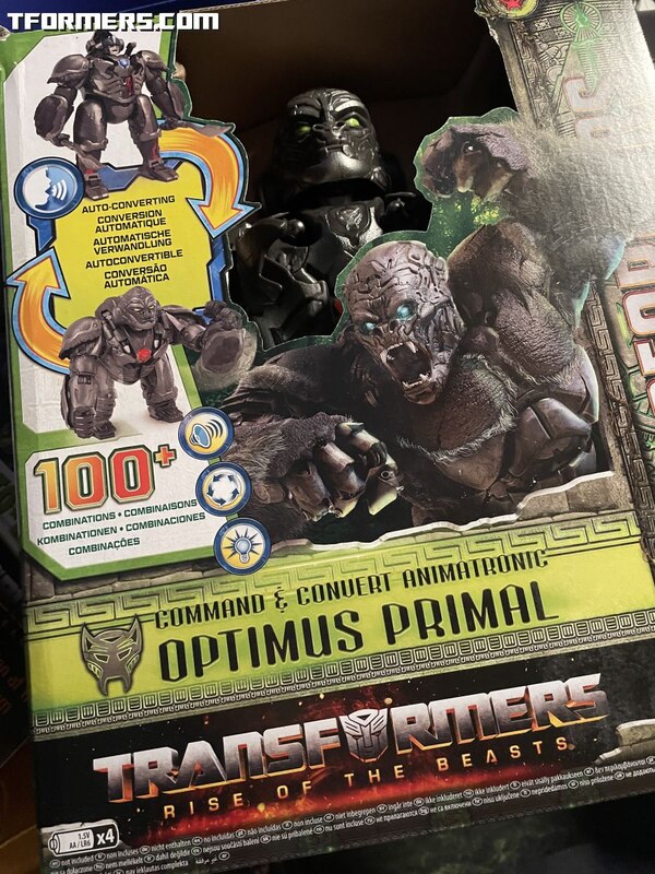 Transformers Rise Of The Beasts Preview Unboxing Images  (12 of 23)